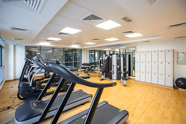 Fitness and wellness website design in Faridabad